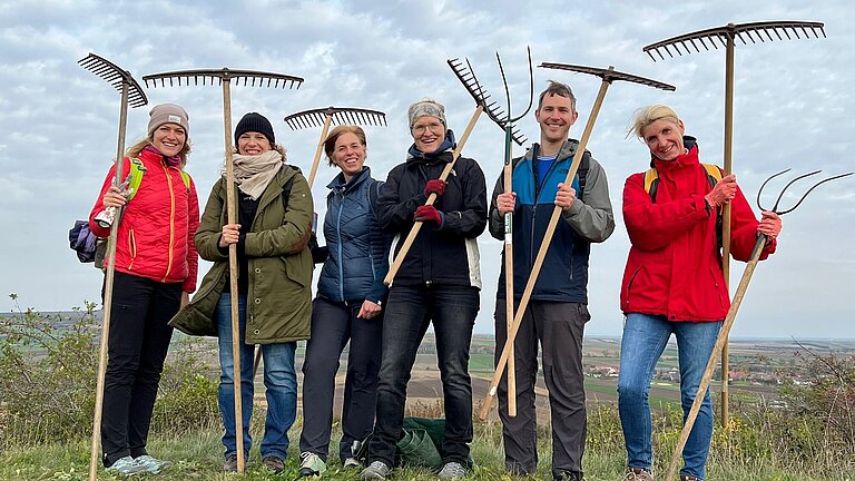 Six people engaged in pasture maintenance with pitchforks.